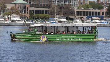 403-3847 Charles River Cruise - Boston Duck Tours